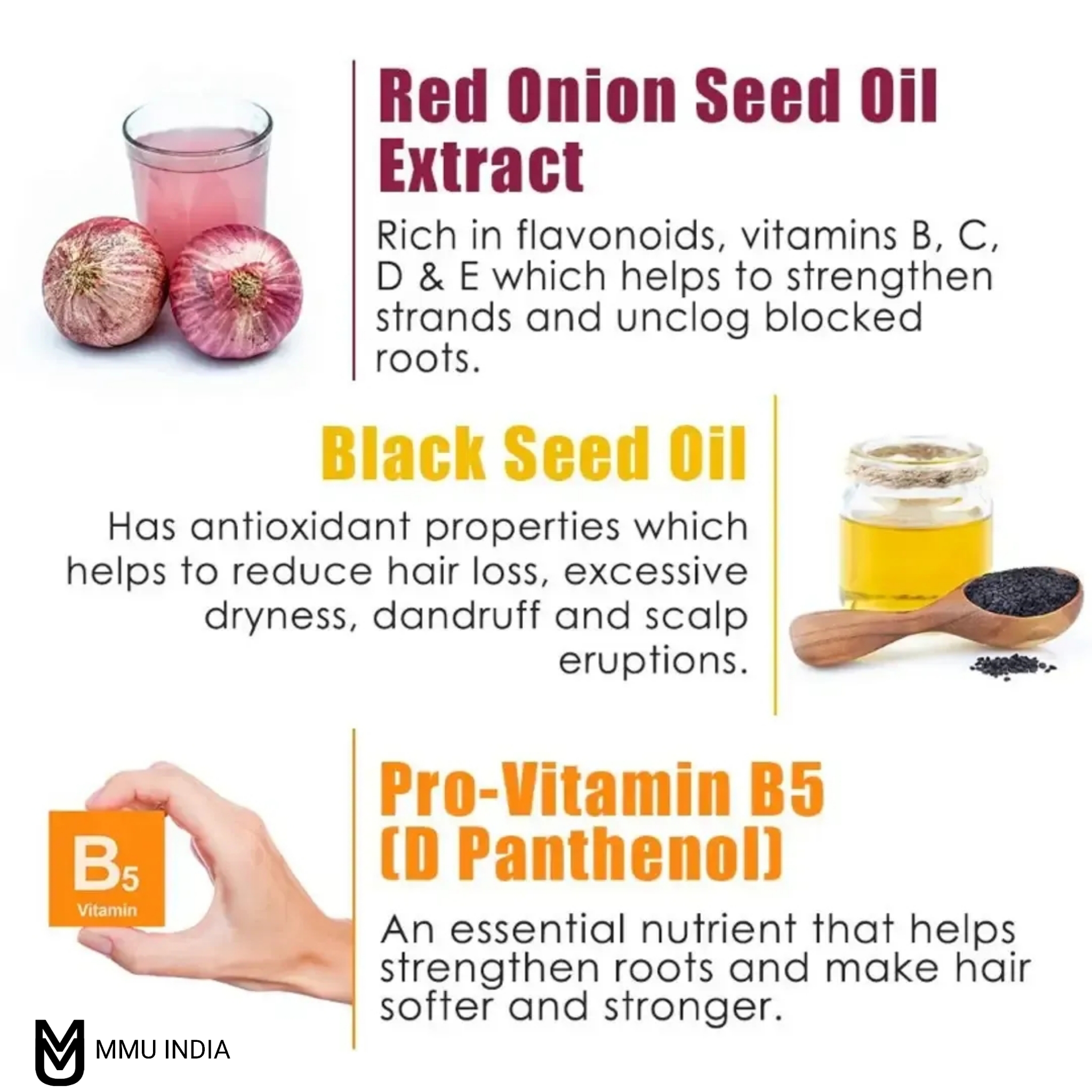 PhotoGrid_Plus_1675507798558