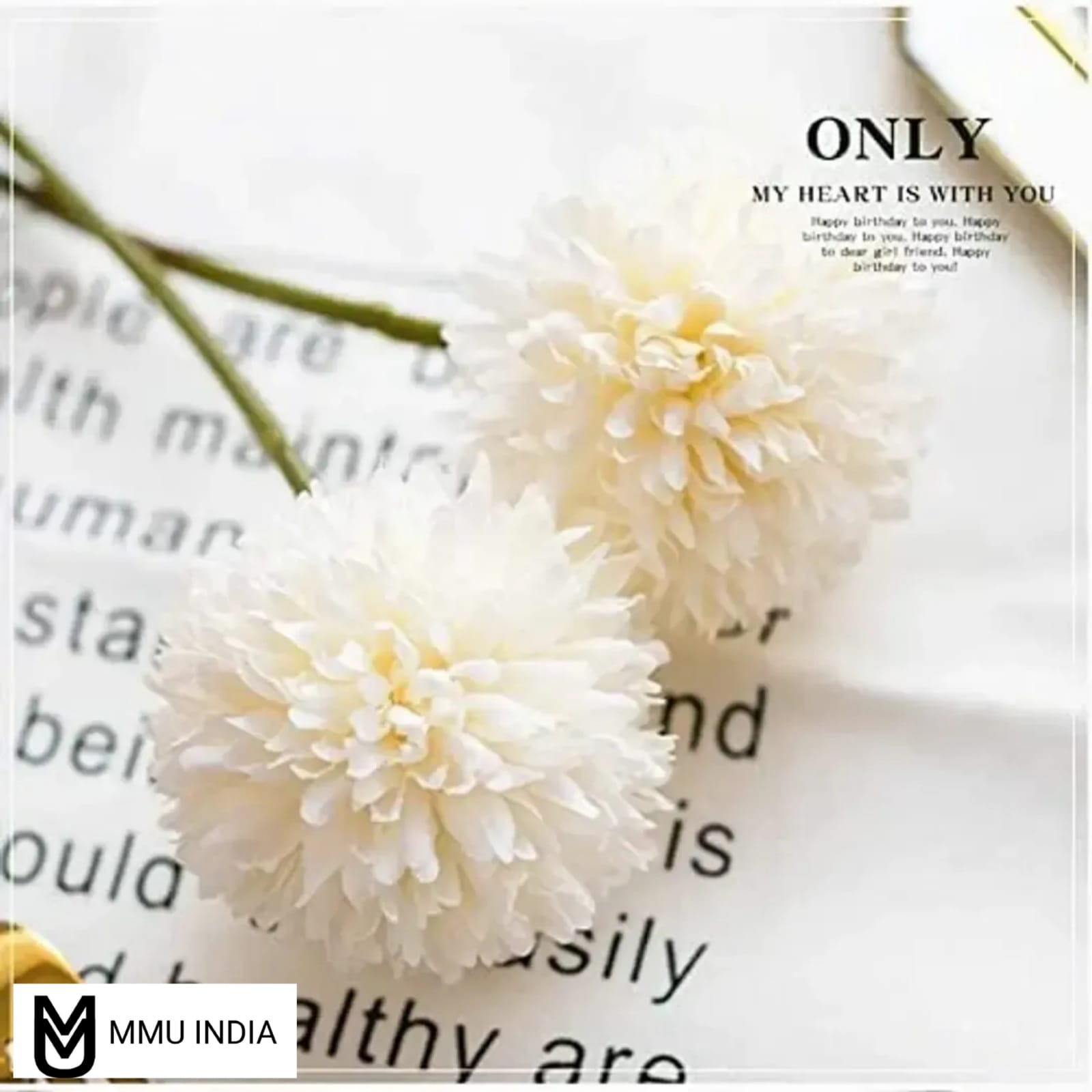 59d18a8d-b655-47c5-a716-ad7d58f3bffa