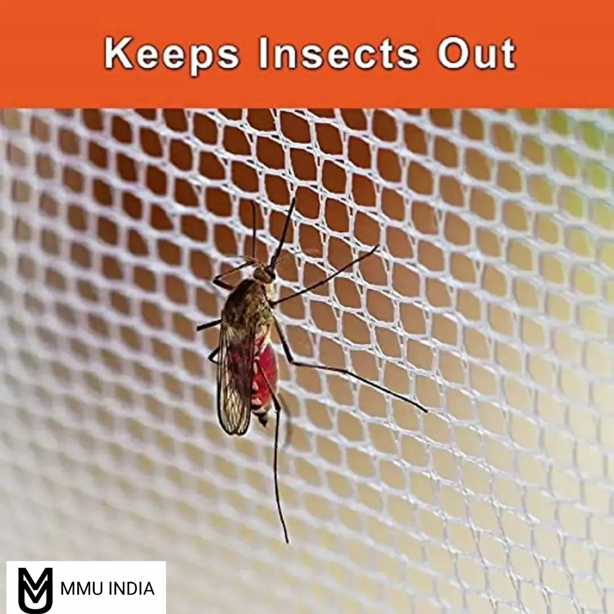 PhotoGrid_Site_1683376393950