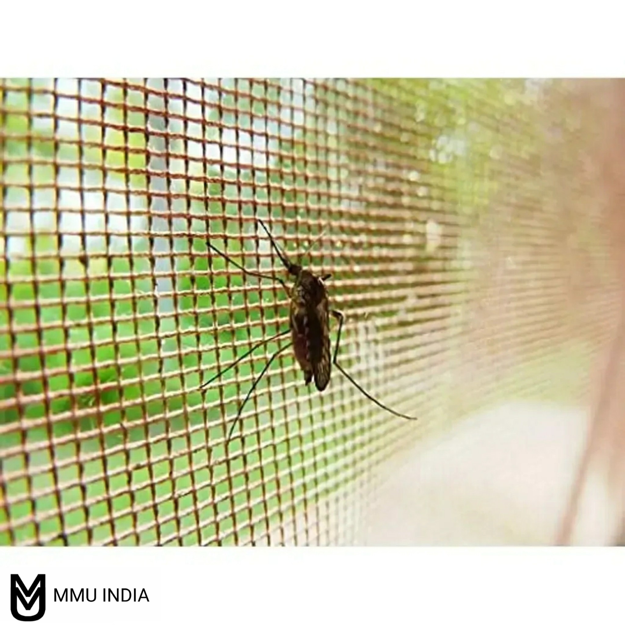 PhotoGrid_Site_1683378136312