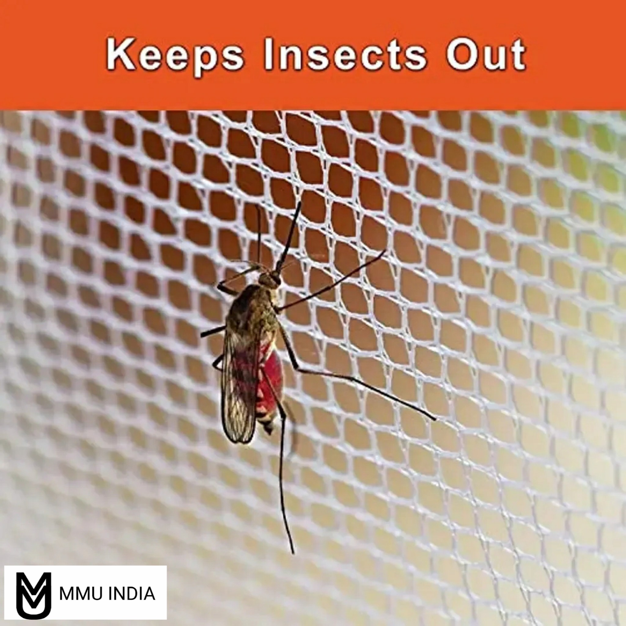 PhotoGrid_Site_1683389503200